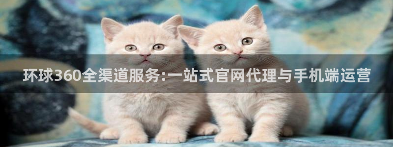 美狮贵宾会体育1招商：环球360全渠道服务:一站式官网代理与手机端运营