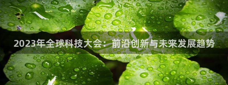 美狮贵宾会体育在线注册：2023年全球科技大会：前沿创新与未来发展趋势