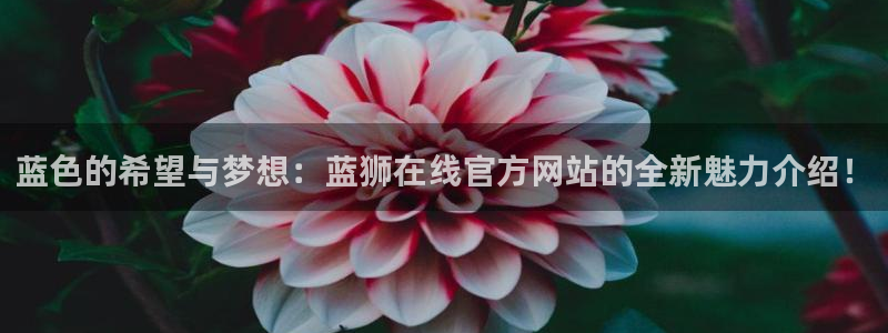 美狮贵宾会3登陆：蓝色的希望与梦想：蓝狮在线官方网站的全新魅力介绍！
