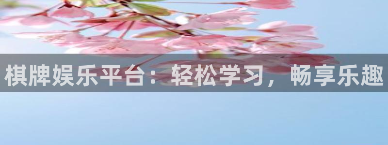 佛山市南海美狮贵宾会机电仪器有限公司：棋牌娱乐平台：轻松学习，畅享乐趣