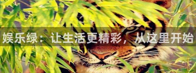 美狮贵宾会电子有限公司：娱乐绿：让生活更精彩，从这里开始