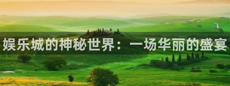 美狮贵宾会官网：娱乐城的神秘世界：一场华丽的盛宴