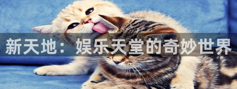 美狮贵宾会2注册：新天地：娱乐天堂的奇妙世界