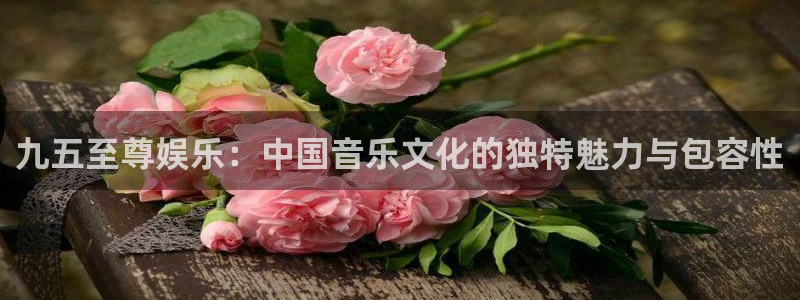美狮贵宾会体育f开户：九五至尊娱乐：中国音乐文化的独特魅力与包容性