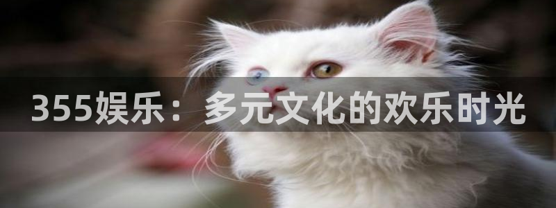 美狮贵宾会体育论坛：355娱乐：多元文化的欢乐时光