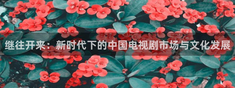 美狮贵宾会平台在线开户：继往开来：新时代下的中国电视剧市场与文化发展