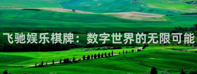 下载美狮贵宾会：飞驰娱乐棋牌：数字世界的无限可能