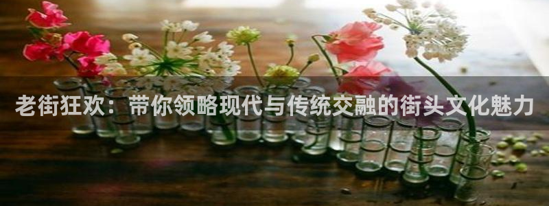 美狮贵宾会quan28.cc：老街狂欢：带你领略现代与传统交融的街头文化魅力