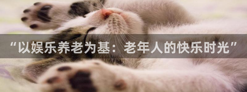 南宫美狮贵宾会官网版：“以娱乐养老为基：老年人的快乐时光”