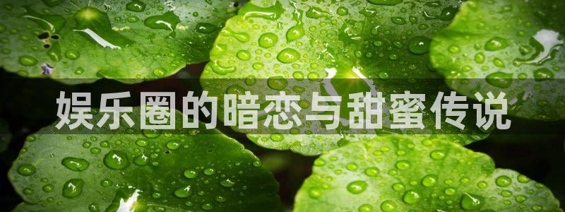 福建美狮贵宾会机电股份公司：娱乐圈的暗恋与甜蜜传说