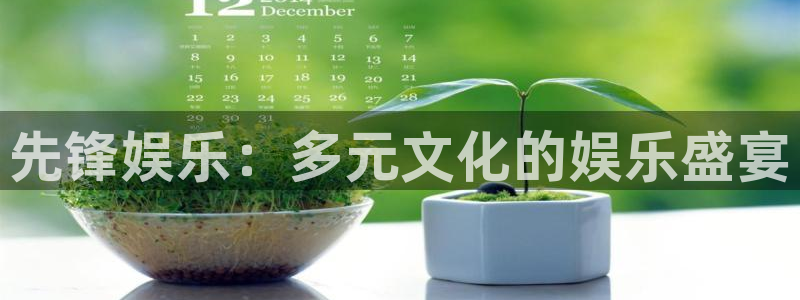 南宫美狮贵宾会官网下载链接：先锋娱乐：多元文化的娱乐盛宴