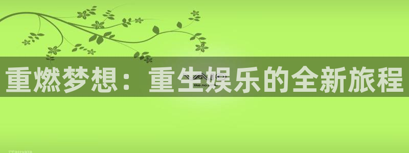 美狮贵宾会注册链接入口：重燃梦想：重生娱乐的全新旅程