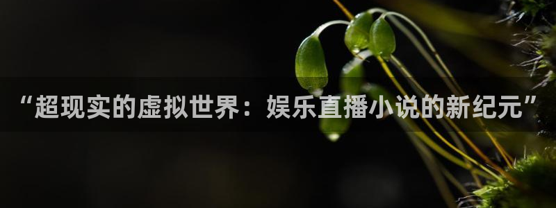 美狮贵宾会平台官方网站：“超现实的虚拟世界：娱乐直播小说的新纪元”