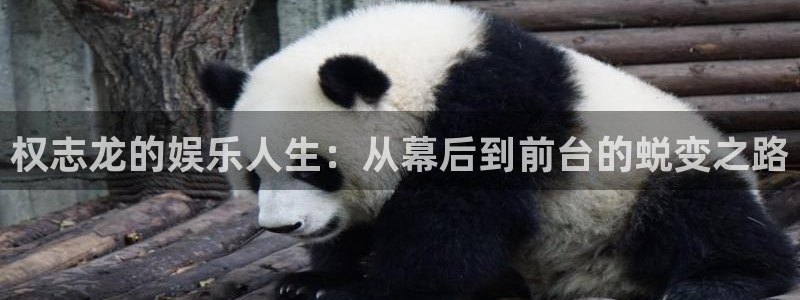 美狮贵宾会是真的吗：权志龙的娱乐人生：从幕后到前台的蜕变之路