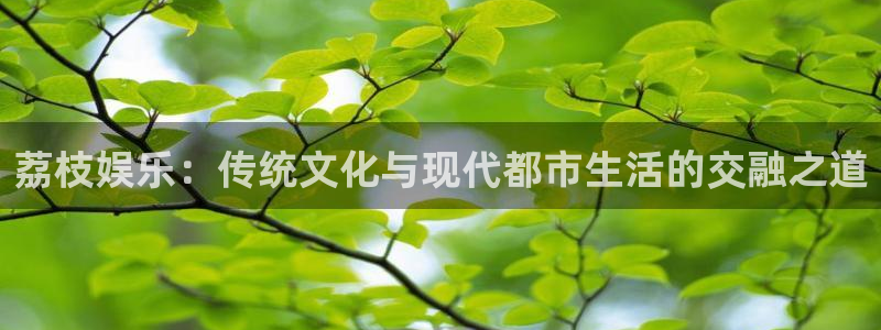 美狮贵宾会3登陆：荔枝娱乐：传统文化与现代都市生活的交融之道