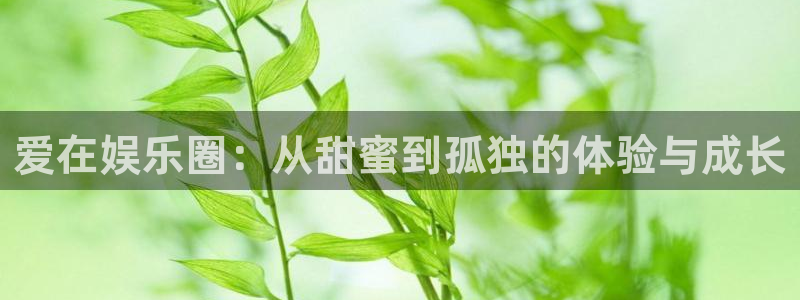 美狮贵宾会在线下载：爱在娱乐圈：从甜蜜到孤独的体验与成长