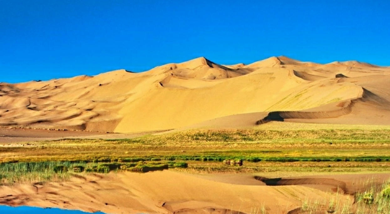 虽然很四人话题，宝马一匹值千金指是猜一最佳准确词语解谜  释义谜底剖解赏析