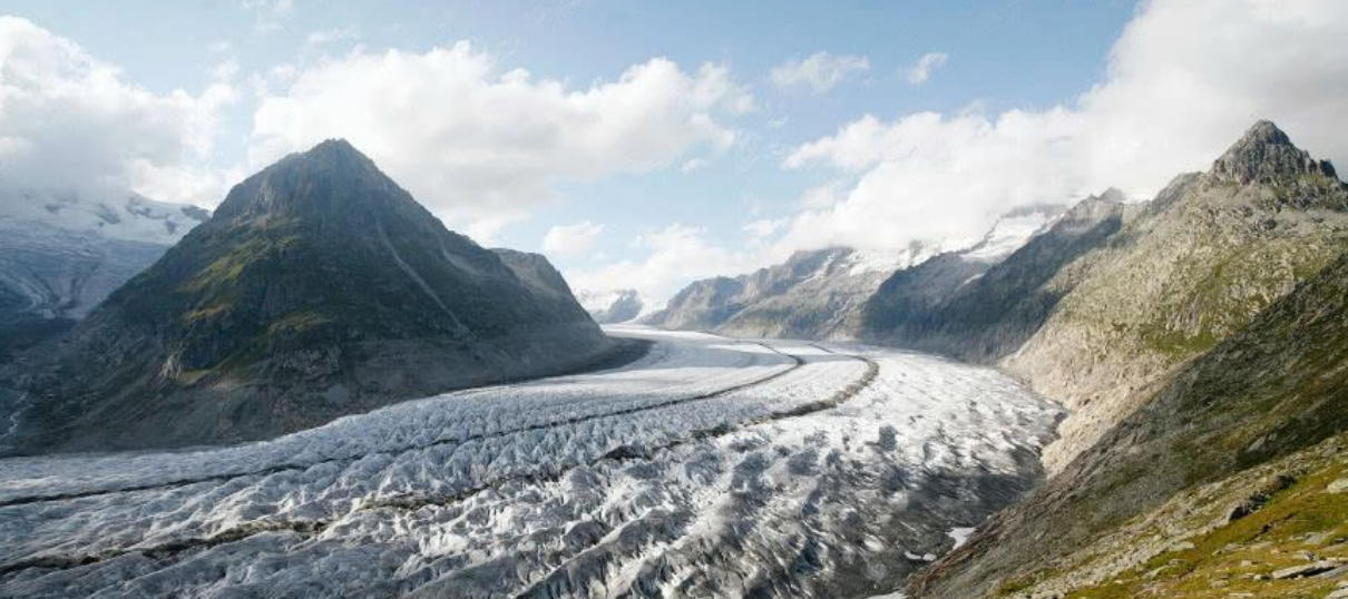 龙马同事发大财，山林无虎是老大是打猜一最佳精准词典作答 成语解释释义