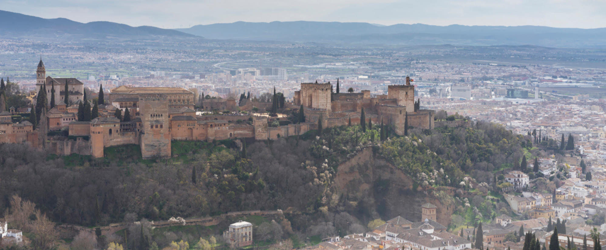 狗仗人势打一肖，最佳解释释义答案