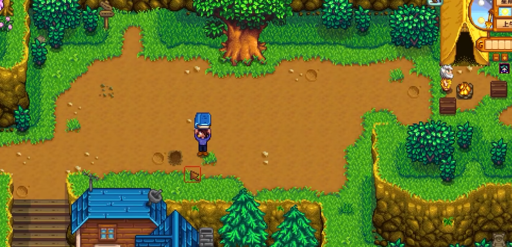 星露谷物语遗失的书在哪里