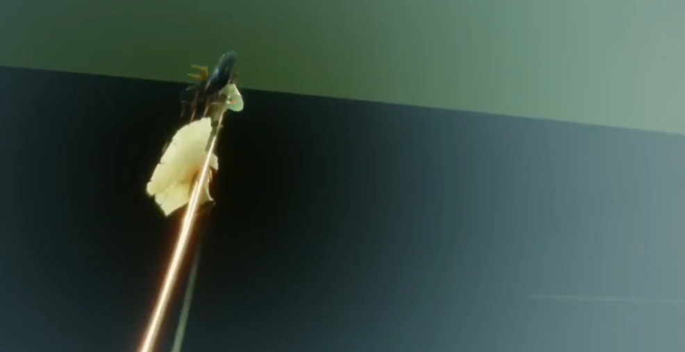 光遇如何飞墓土的云