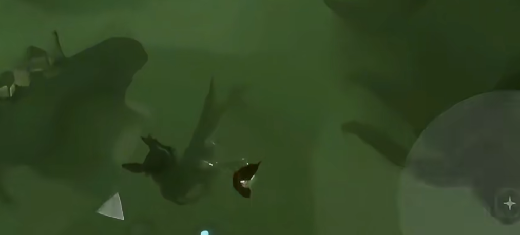 光遇伊甸之眼的龙怎么躲