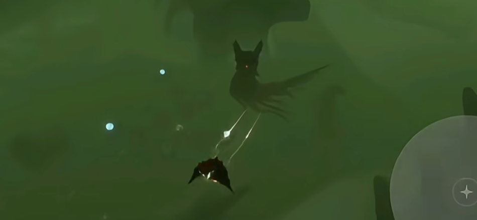 光遇怎么预防皮皮虾