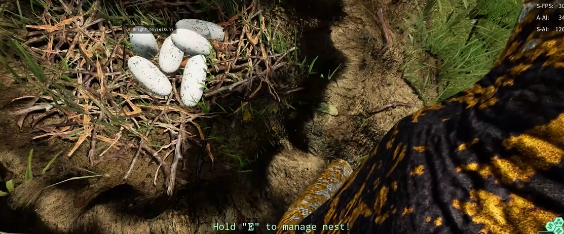 恐龙岛下蛋有什么用