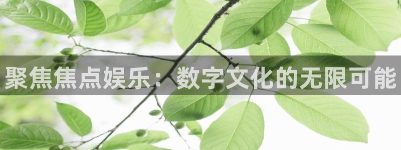 美狮贵宾会.ccmpc登录：聚焦焦点娱乐：数字文化的无限可能