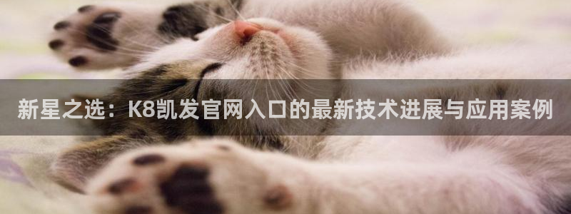 美狮贵宾会赏金女王