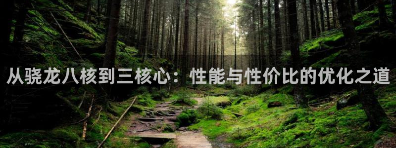 美狮贵宾会.ccm：从骁龙八核到三核心：性能与性价比的优化之道