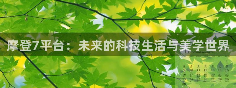 美狮贵宾会是什么平台：摩登7平台：未来的科技生活与美学世界