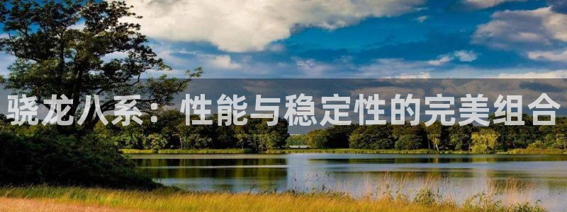 美狮贵宾会平台官网版最新：骁龙八系：性能与稳定性的完美组合