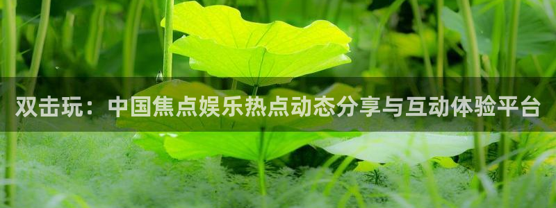 美狮贵宾会平台招商：双击玩：中国焦点娱乐热点动态分享与互动体验平台