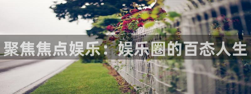 美狮贵宾会网站平台：聚焦焦点娱乐：娱乐圈的百态人生