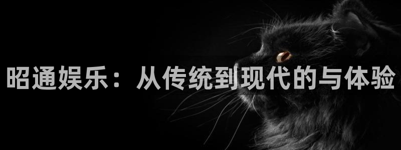 美狮贵宾会下载地址：昭通娱乐：从传统到现代的与体验
