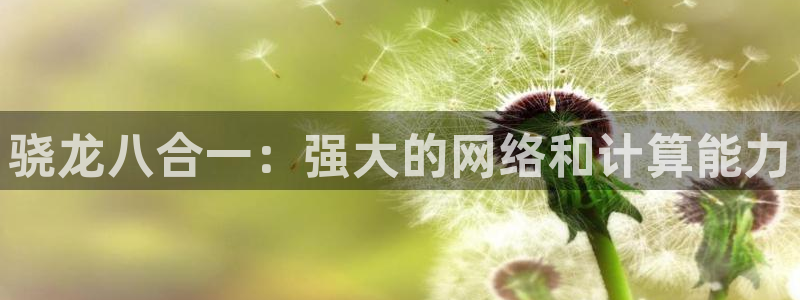 美狮贵宾会体育论坛：骁龙八合一：强大的网络和计算能力