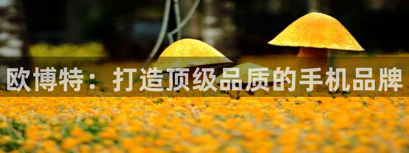 美狮贵宾会体育官网：欧博特：打造顶级品质的手机品牌