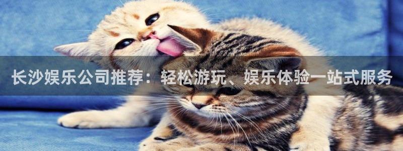 美狮贵宾会游戏官网平台：长沙娱乐公司推荐：轻松游玩、娱乐体验一站式服务