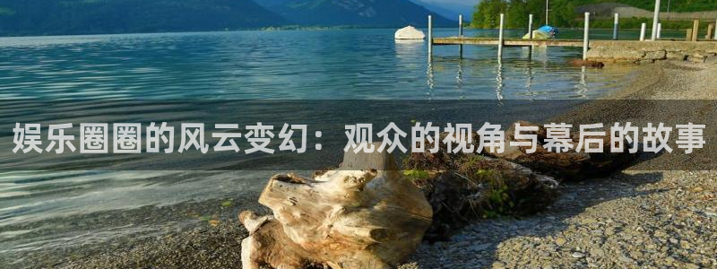 美狮贵宾会4：娱乐圈圈的风云变幻：观众的视角与幕后的故事