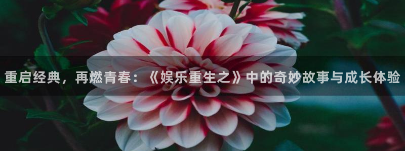 美狮贵宾会ccm赏金女王：重启经典，再燃青春：《娱乐重生之》中的奇妙故事与成长体验