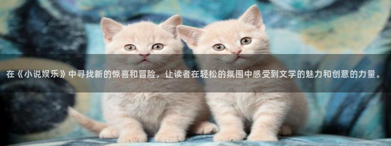 美狮贵宾会注册入口与教程：在《小说娱乐》中寻找新的惊喜和冒险，让读者在轻松的氛围中感受到文学的魅力和创意的力量。