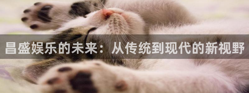 南宫美狮贵宾会官网下载链接：昌盛娱乐的未来：从传统到现代的新视野