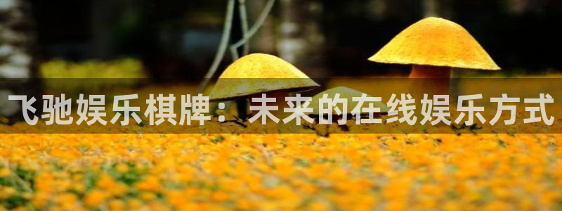 美狮贵宾会官方网站：飞驰娱乐棋牌：未来的在线娱乐方式