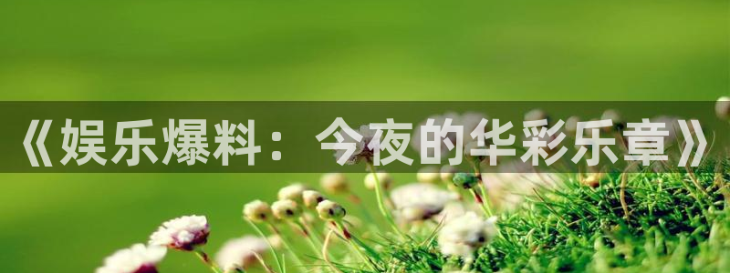 美狮贵宾会app新版上线体验.游戏更新入口.中国：《娱乐爆料：今夜的华彩乐章》