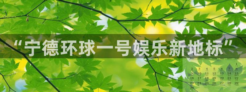 美狮贵宾会5：“宁德环球一号娱乐新地标”