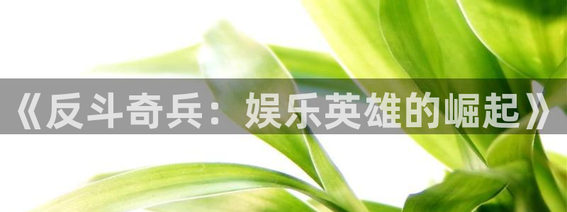 美狮贵宾会3官网：《反斗奇兵：娱乐英雄的崛起》