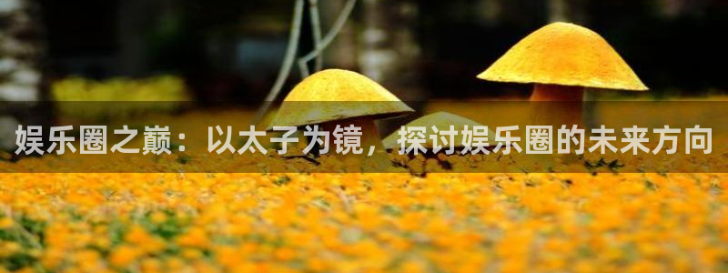 美狮贵宾会游戏官网平台入口：娱乐圈之巅：以太子为镜，探讨娱乐圈的未来方向