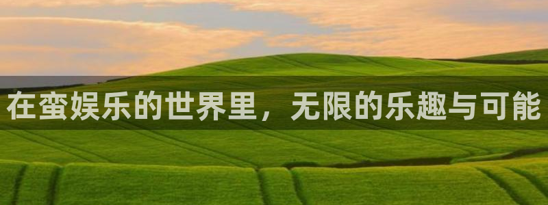 美狮贵宾会官网：在蛮娱乐的世界里，无限的乐趣与可能