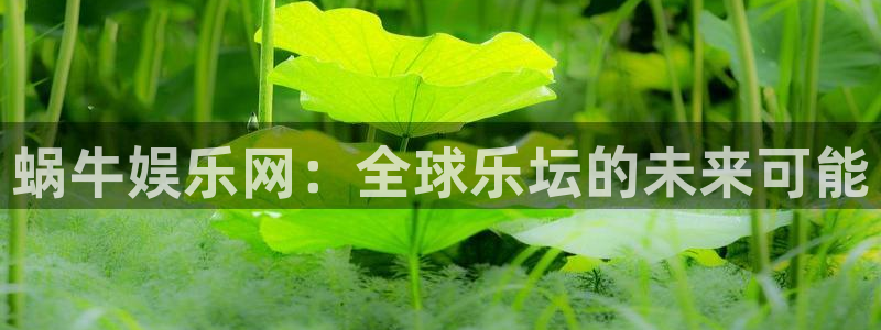 美狮贵宾会官方网站：蜗牛娱乐网：全球乐坛的未来可能